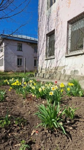 �����!. ���� � ������� 24� ���������� ���������� ����