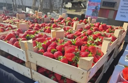 � �������� �� ����� ��������� ������ ����������������� ������� ��������� ���