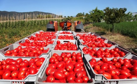 ��������� ����� �������, ������� �� ��� ��� � ���� � �� �������