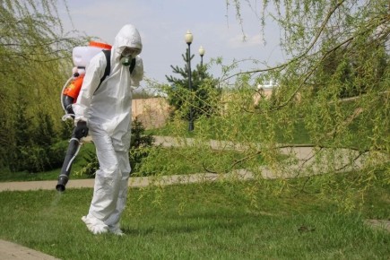 � �������� �������� ��������� ������������ ���������� �� ������