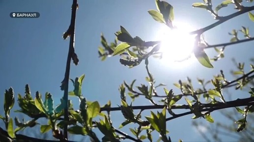 ������ ����� ������� � ��������� ���� ����������� �������� � ����������� ��������� � ������ ������