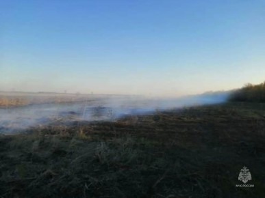 ����� ����� �����: ������ ����������� ������ ���