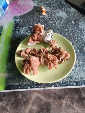 �������� ���������� ���� ������� ����� "����� �����"