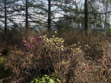 ������ �������. ������������ �� ������������� ������������� ���������