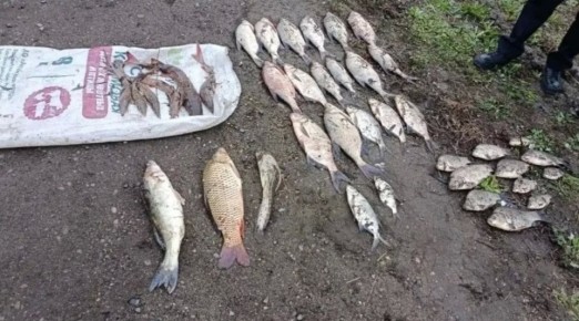 �������� �������� � ������� ������ ���� � ��������� �������� � ������� ������