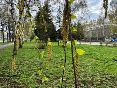 ������������ ������� ��������