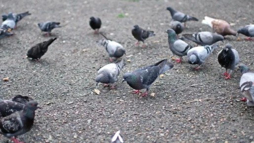 ������� ��������������� ����� �� ��������� ������� �� ����� ����� ������� ����� �� 3 ����� ������