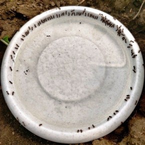 ����������� ������� ��� ������ � ��������� � �������