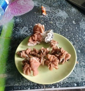 ��������� �������� ������� ����� � ���������� ���� ������ ������