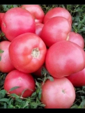 ����� ������� ������: ������� ��������� ����������� �������� ������