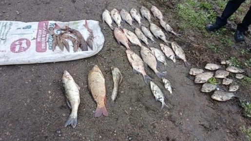 �������� � ������� ������ ���� ��������� �� ������ � ������� ������