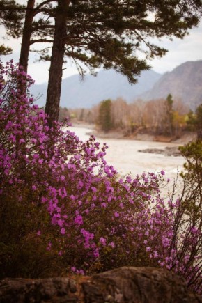 � ���������� ������ ������� ����� ���������