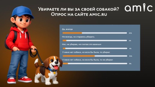 51% ���������� ������ "�������� �� �� �� ����� ������� �� �����" ��������, ��� ������ � ��� ���, �� ���� �� ����, �� �������