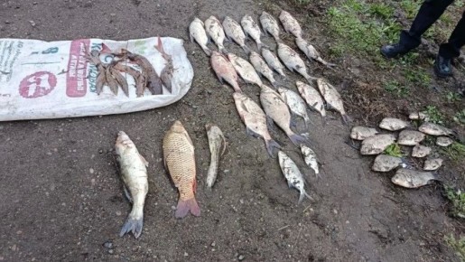 �� ������ � ������� ������ �������� �������� �������� � ������� ������ ���� � ���������