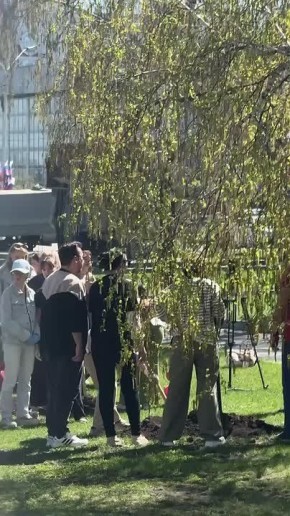 � �������� ��������� "����������� �����"