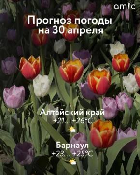 30 ������ ����������� � ��������� ���� ��������� �� +26 ��������