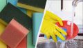 ������ ����� ����� ��� ������ ����� ��������: �������� ��� ���� �� �������