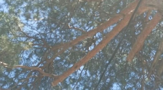 ������� �������� � ����, ������� ��� ������ ������ ����� �� ������