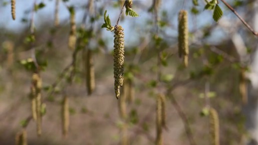 ��������� ���� �������� �������� ������ �� ����� ������� ����������