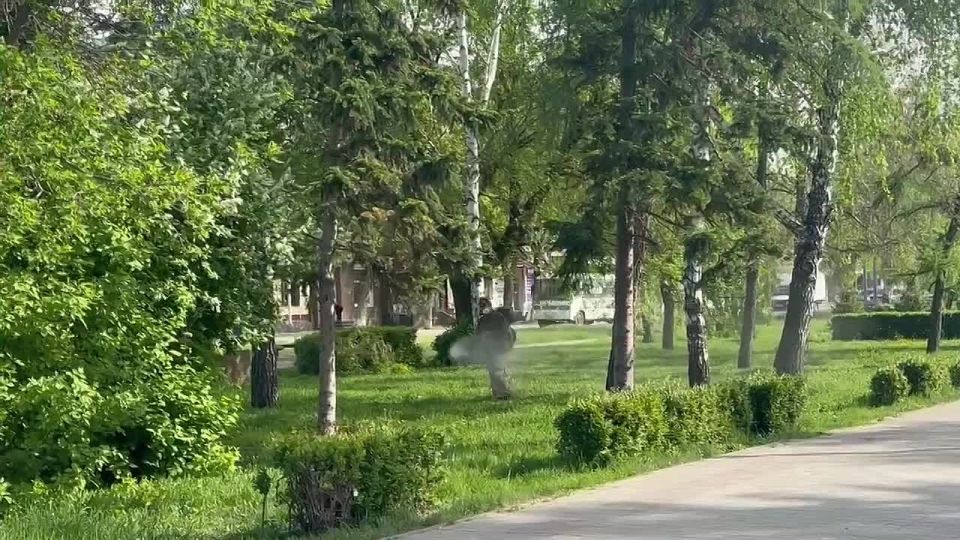 Обработку общественных мест от клещей начали в Бийске