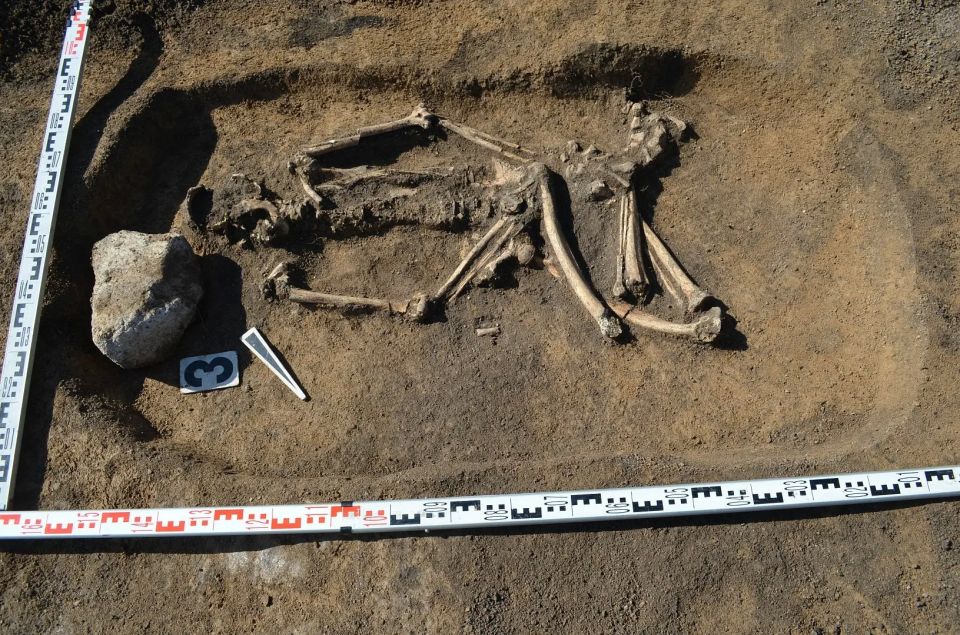 Научная сенсация. Археологи АлтГУ нашли следы первых Homo Sapiens рядом с Белокурихой Научная сенсация. Археологи АлтГУ нашли следы первых Homo Sapiens рядом с Белокурихой