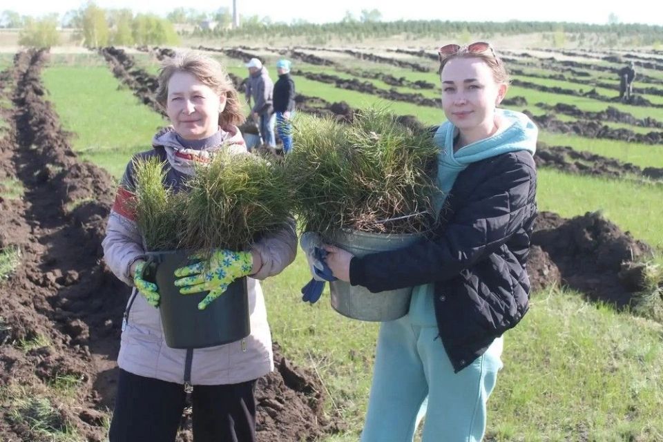 Игорь Панарин принял участие в акции «Лес Победы» в Шелаболихинском районе Игорь Панарин принял участие в акции «Лес Победы» в Шелаболихинском районе
