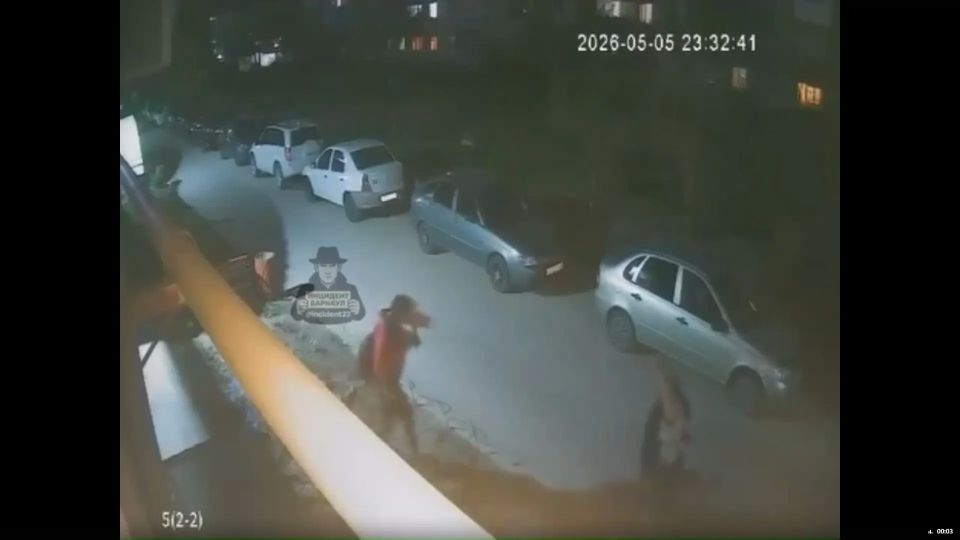 Неизвестные женщины под покровом ночи сорвали с барнаульской клумбы тюльпаны, выращиваемые местными жителями