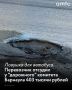 Комитет по дорожному хозяйству администрации Барнаула должен будет заплатить известному перевозчику "Евробус-Плюс" 403 тысячи рублей
