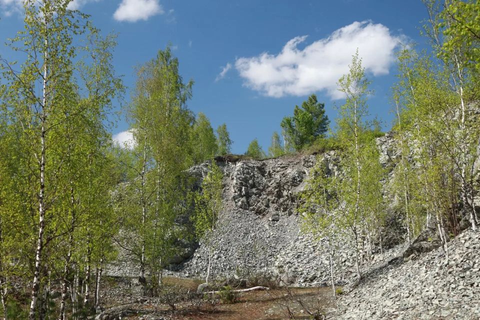 Алтайский Салаир в разгар весны Алтайский Салаир в разгар весны