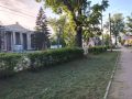 Доброе утро, Рубцовск!. Погодные условия не очень радуют теплом, а вот трава растёт быстро