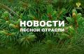 AK&M: Рослесхоз: в дальневосточных регионах сохраняются высокие и чрезвычайные классы пожарной опасности