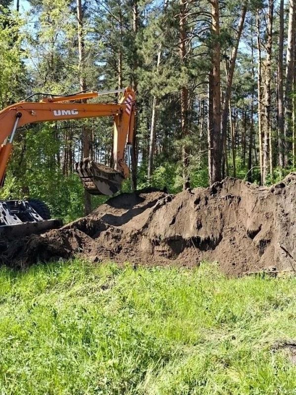 Тяжёлая техника работает в лесопарковой зоне АБ Тяжёлая техника работает в лесопарковой зоне АБ