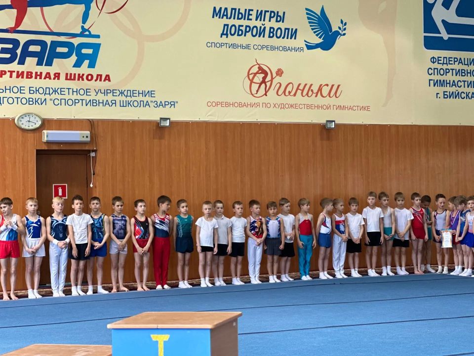 В СШ «Заря» состоялось открытое первенство школы по спортивной гимнастике В СШ «Заря» состоялось открытое первенство школы по спортивной гимнастике