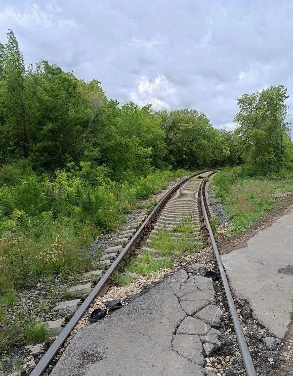 В Алтайском крае транспортные полицейские устанавливают обстоятельства травмирования мужчины