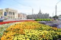 В Барнауле началась высадка однолетних цветочных растений