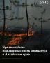 В Алтайском крае 26–29 мая сохранится высокая пожароопасность