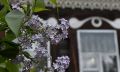 В Барнауле планируют создать единое пешеходное пространство в центре города