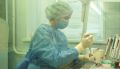 На Алтае проснулся смертельно опасный летний вирус без вакцины