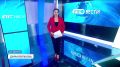 В Барнауле появилась лесная земляника