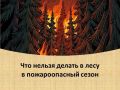 С начала пожароопасного сезона в Алтайском крае ликвидировали более 110 лесных пожаров