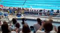 Бийчанин представит Россию на чемпионате мира по подводному спорту