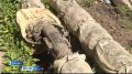 � ������������ ������ ������� ������� ���� �� ������������� ���� ����������� �� ������