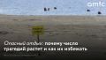 С начала года в регионе зарегистрировано 28 погибших на воде, из них девять детей, гласят данные пресс-службы Главного управления МЧС России по Алтайскому краю