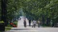 Жара в Алтайском крае и не думает отступать