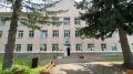 Юные натуралисты спасли детенышей утонувшей белки