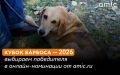 Запускаем онлайн-голосование «Кубка Барбоса»!
