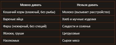 Колючие друзья на вашем участке: как ёжики стали питомцами садоводов