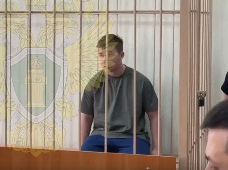 Сына крупного алтайского бизнесмена приговорили к 8 годам колонии за смертельное ДТП в Новосибирске Сына крупного алтайского бизнесмена приговорили к 8 годам колонии за смертельное ДТП в Новосибирске