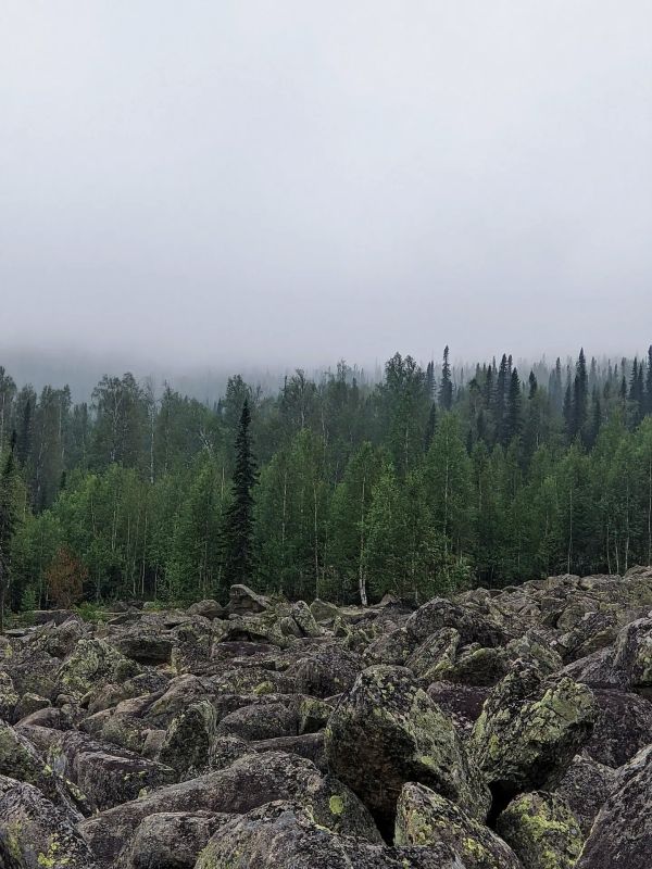 Шерегеш без снега. Как выглядит популярный горнолыжный курорт летом Шерегеш без снега. Как выглядит популярный горнолыжный курорт летом