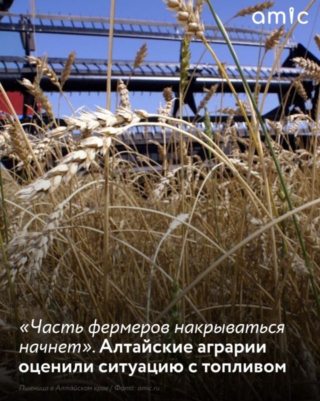 Российские аграрии столкнулись с нехваткой топлива в результате перебоев в работе НПЗ, пишет ряд СМИ, а как следствие — со значительным ростом цен